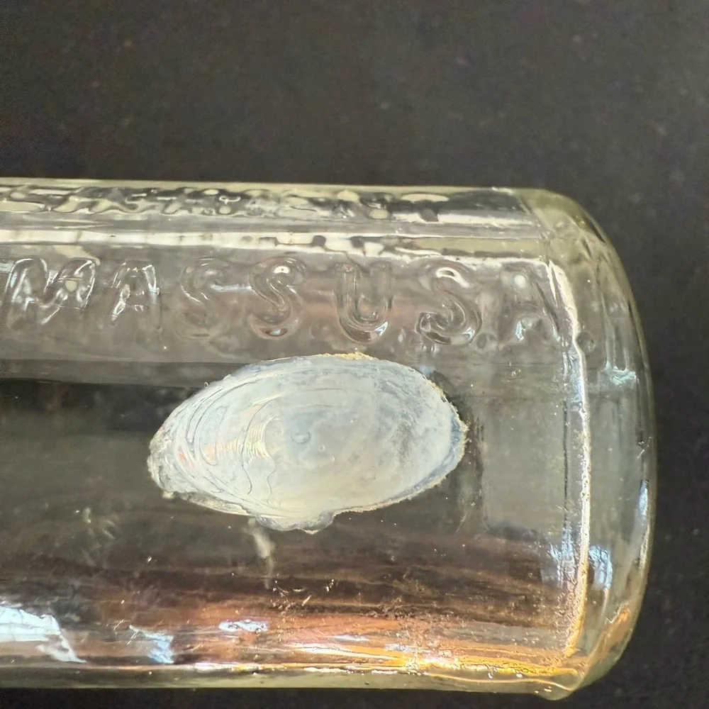 Minnard’s Linniment Embossed Glass Bottle 5 inches ANTIQUE